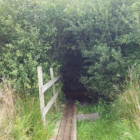 Hébergement de vacances 8 Person In Oksbøl