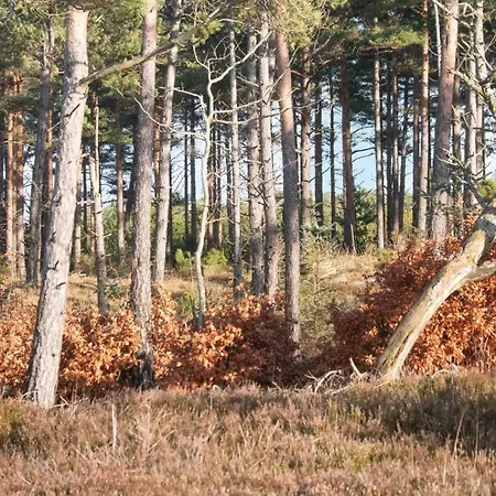 8 Person In Дом отдыха Oksbol (Syddanmark)