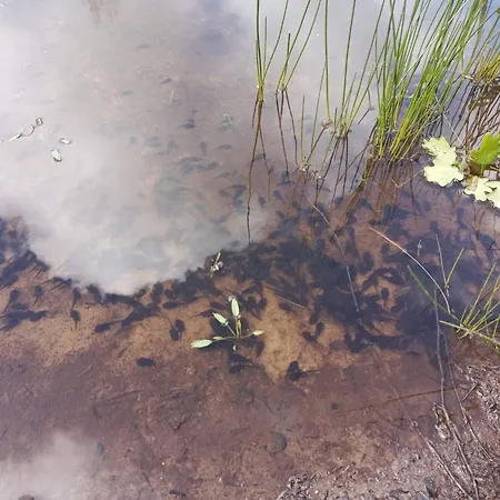 Дом отдыха 8 Person In *