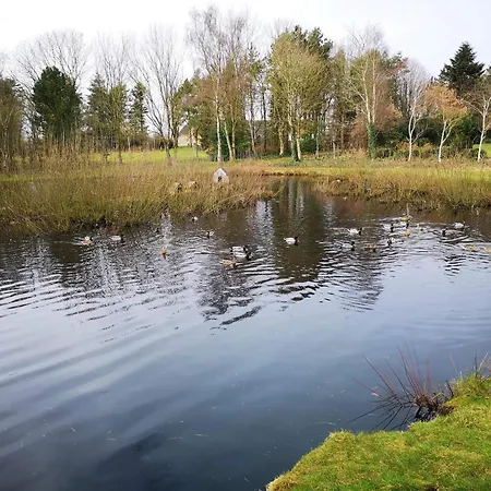 Holiday home 8 Person In Oksbol (Syddanmark)
